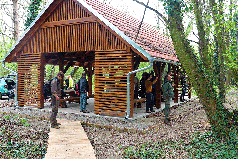 Projekti Slu bene Stranice Op ine Pitoma a