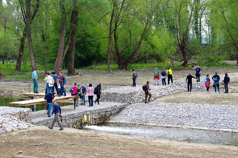 Projekti Slu bene Stranice Op ine Pitoma a