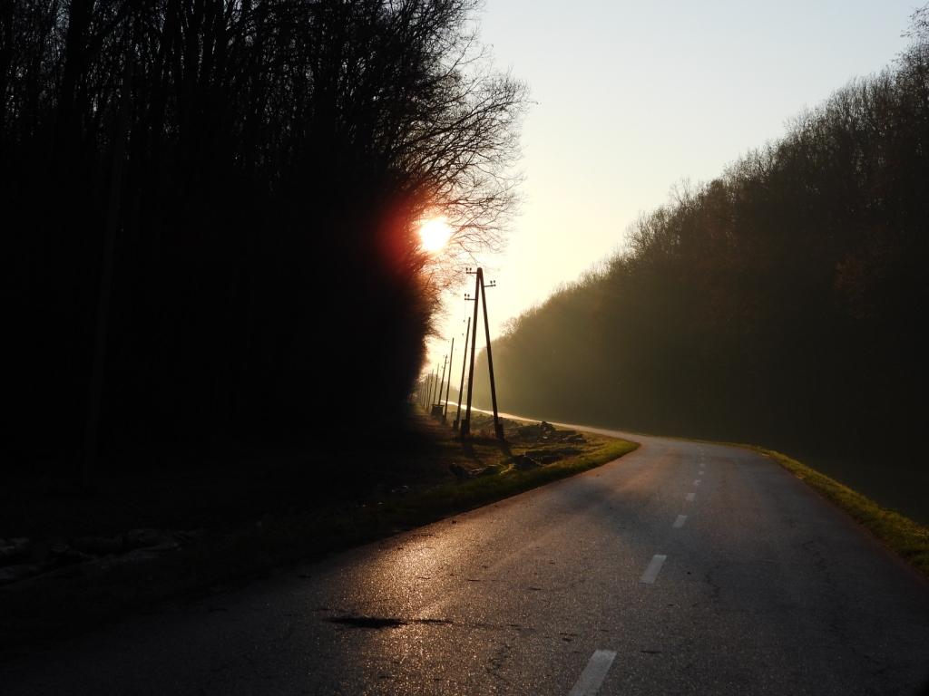 banov brod šuma banov brod suma