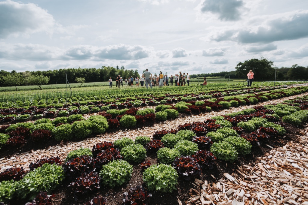 Predavanje "Biointenzivna ekološka poljoprivreda – uzgoj budućnosti po mjeri čovjeka" 13 0220 martinturk com IMGY0999 – kopija