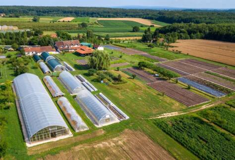Predavanje "Biointenzivna ekološka poljoprivreda – uzgoj budućnosti po mjeri čovjeka" 64