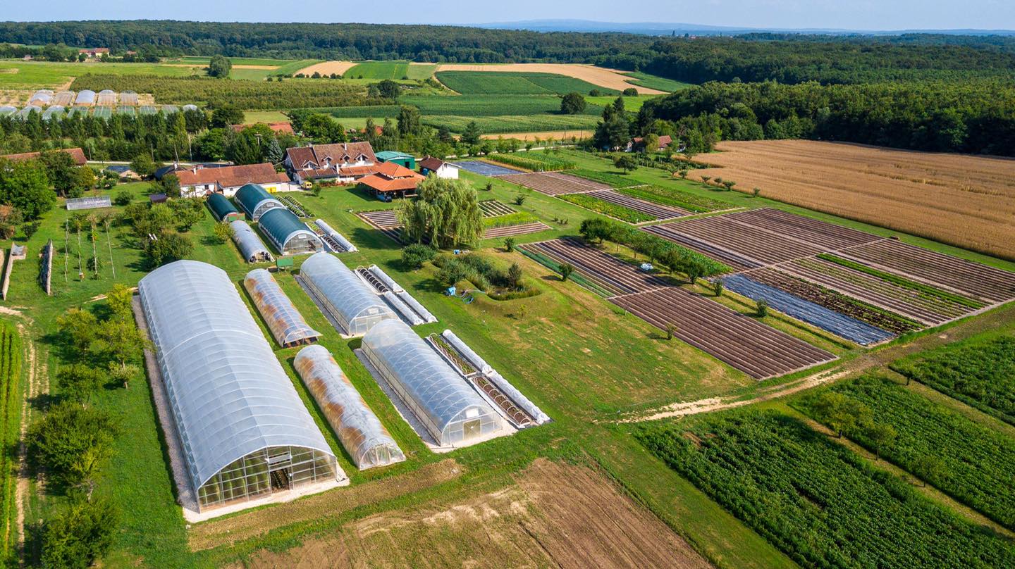 Predavanje "Biointenzivna ekološka poljoprivreda – uzgoj budućnosti po mjeri čovjeka" 11 zrno iz zraka