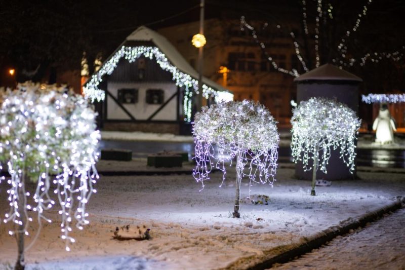 bozic pitomaca 800x533 1