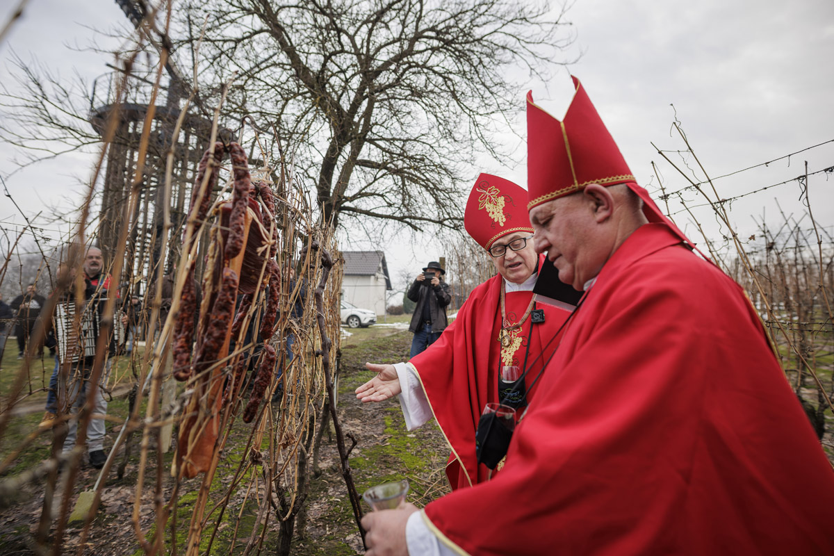 Hodancije, dobra kapljica i tamburaši v Kladarskem bregu ponovno okupilo ljubitelje vina i tradicije 12 U5A4291