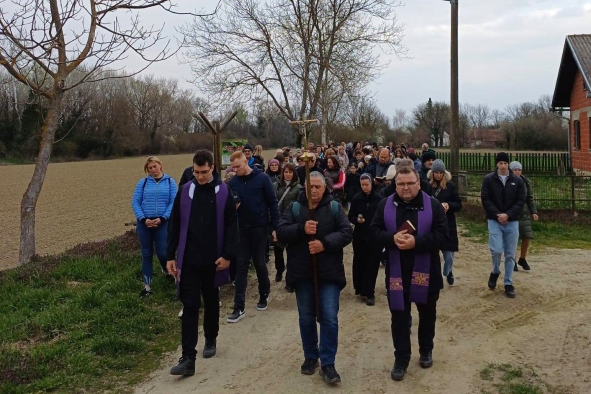 654421210 934006369336152 1537362400070142031 n Custom