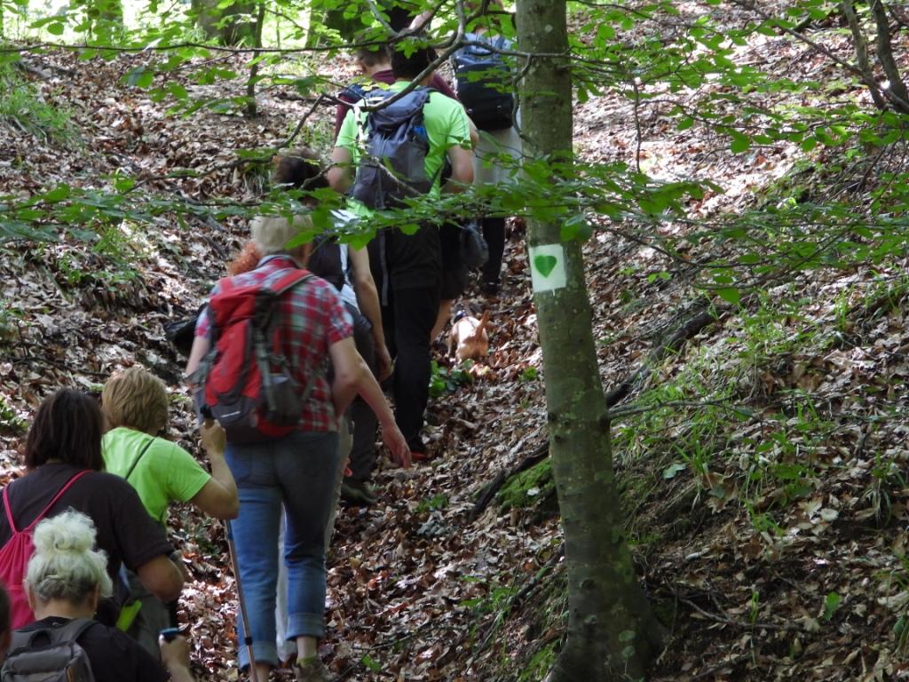 Zeleno srce Pozdrav proljecu