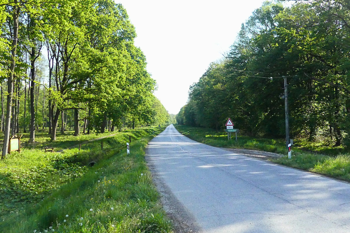 6781eb20 f42e 46c8 908e 86ad7952379e 1200x800 1