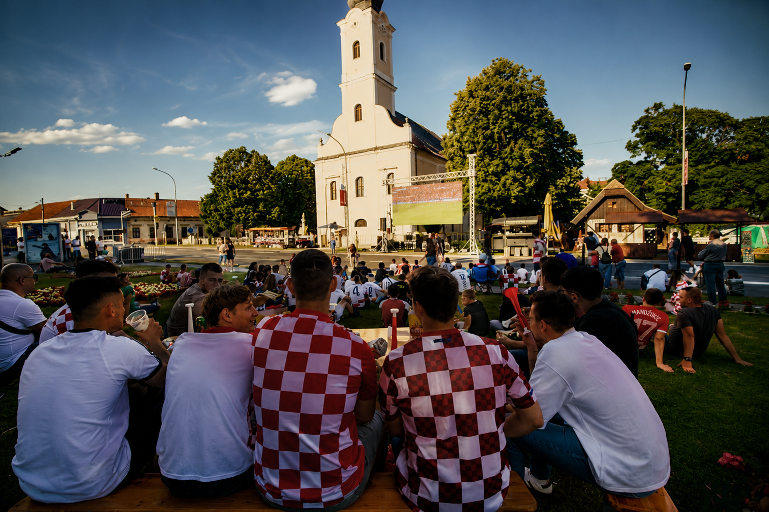 vidovo reprezentacija