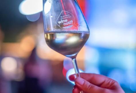 6. festival vina i zalogaja Slavonije i Podravine "Wine not!?" - Vino u ozračju Preradovićeve baštine 20